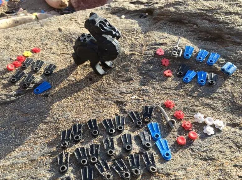 Британка провела 25 лет в поисках 5 млн деталей Lego, затонувших в море