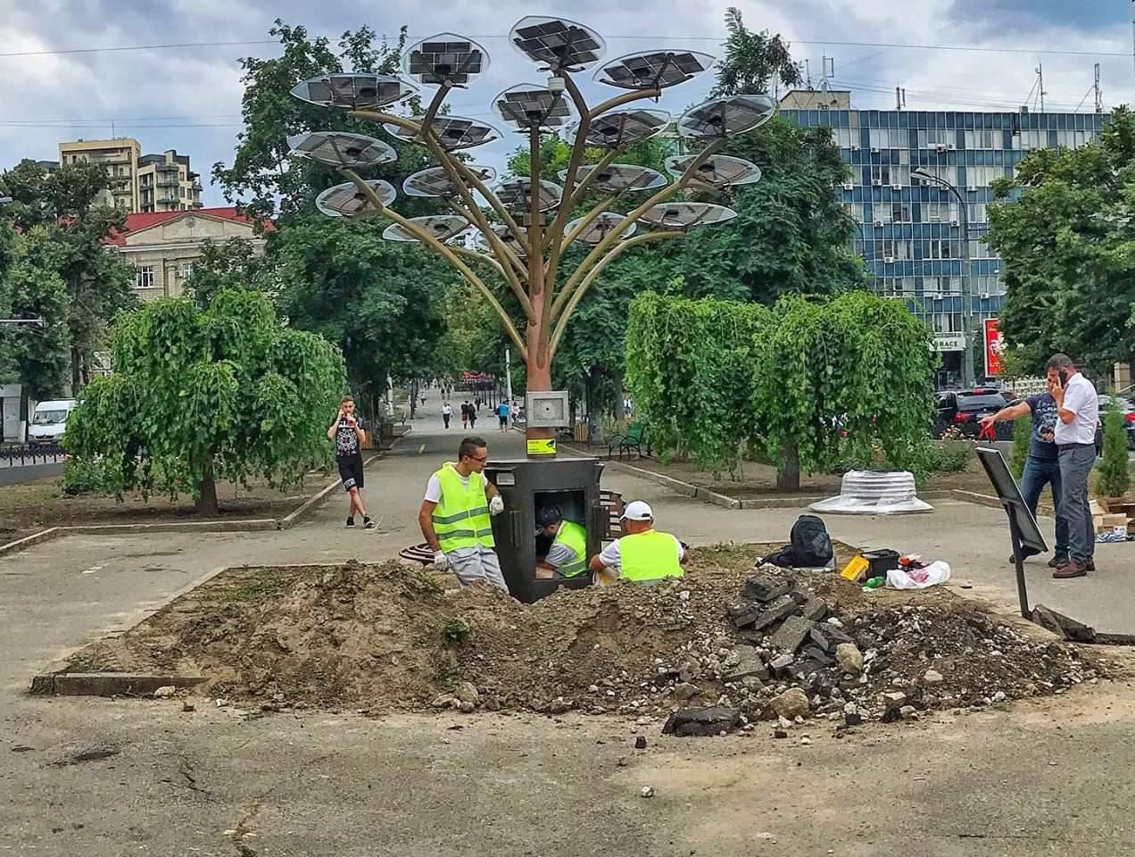 В Кишиневе появились солнечные деревья