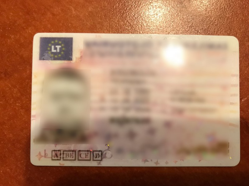 Молдаване собрались в Германию с поддельными румынскими документами