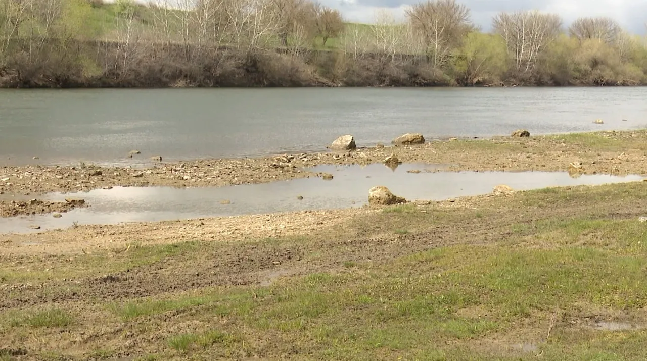 Экологи требуют от властей срочных мер из-за обмеления Днестра
