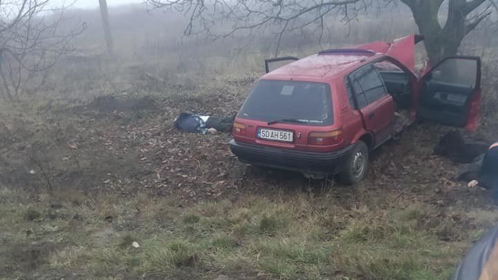 Легковушка врезалась в дерево в Резинском районе: есть жертвы