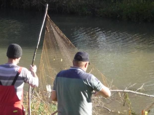 Gardurile ilegale de pe Răut au fost scoase practic în totalitate