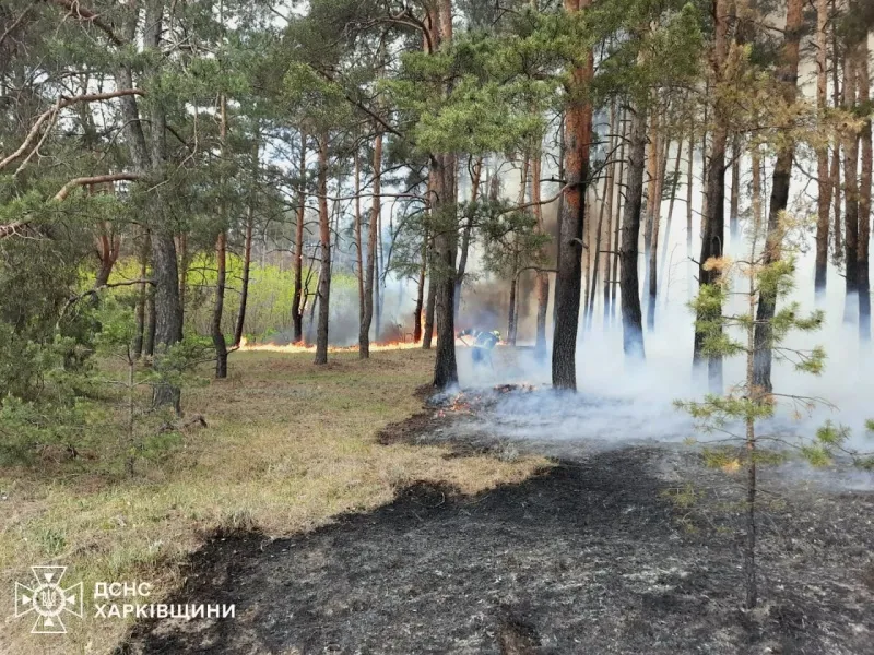 Из-за лесных пожаров в Харьковской области детонируют боеприпасы