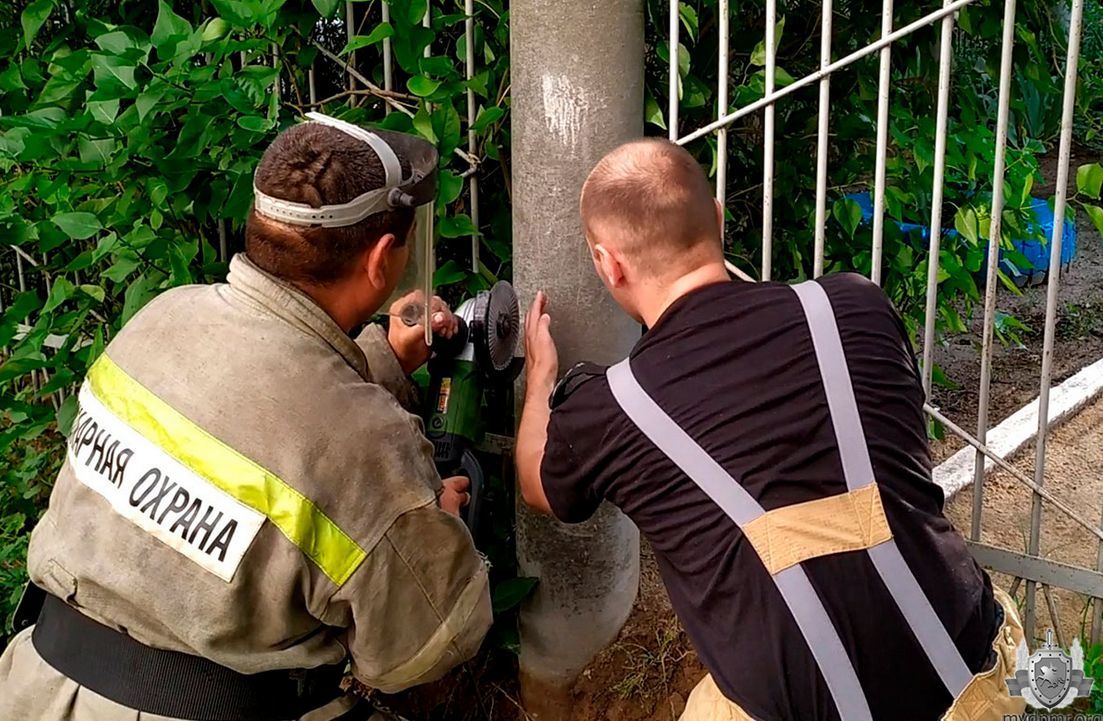 В Тирасполе спасатели помогли котенку, упавшему в трубу