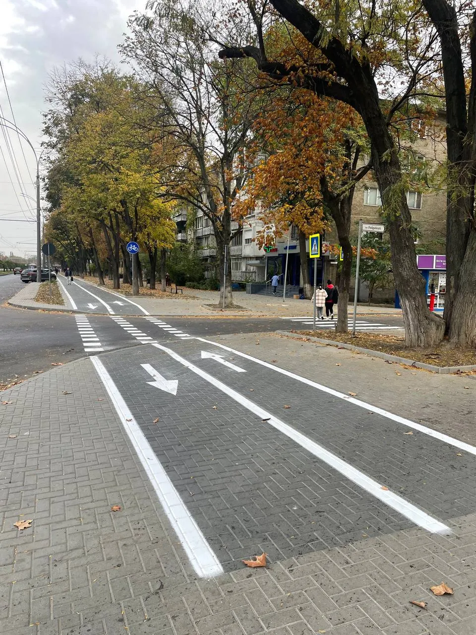 В Кишиневе оборудовали еще одну полосу для велосипедистов
