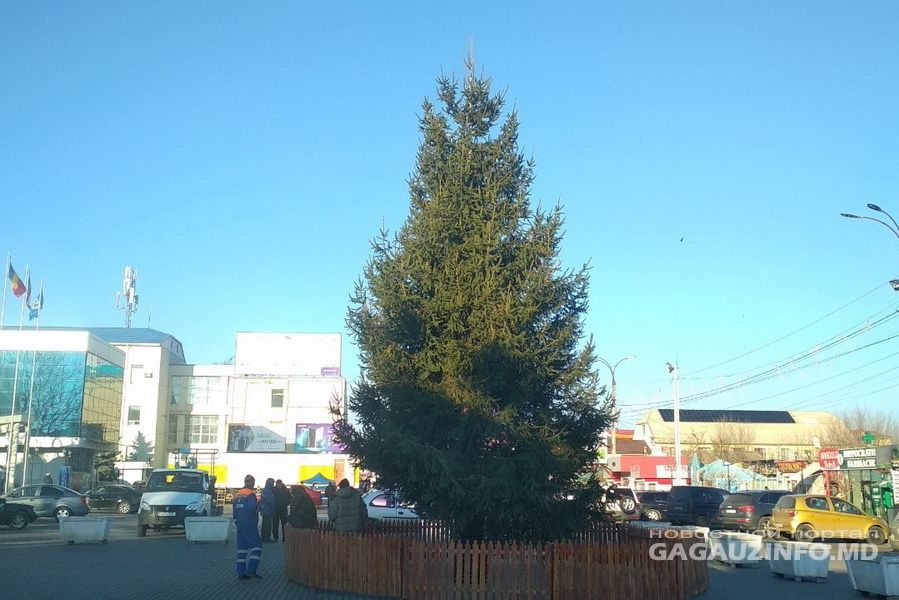 На центральной площади Комрата установили новогоднюю ель