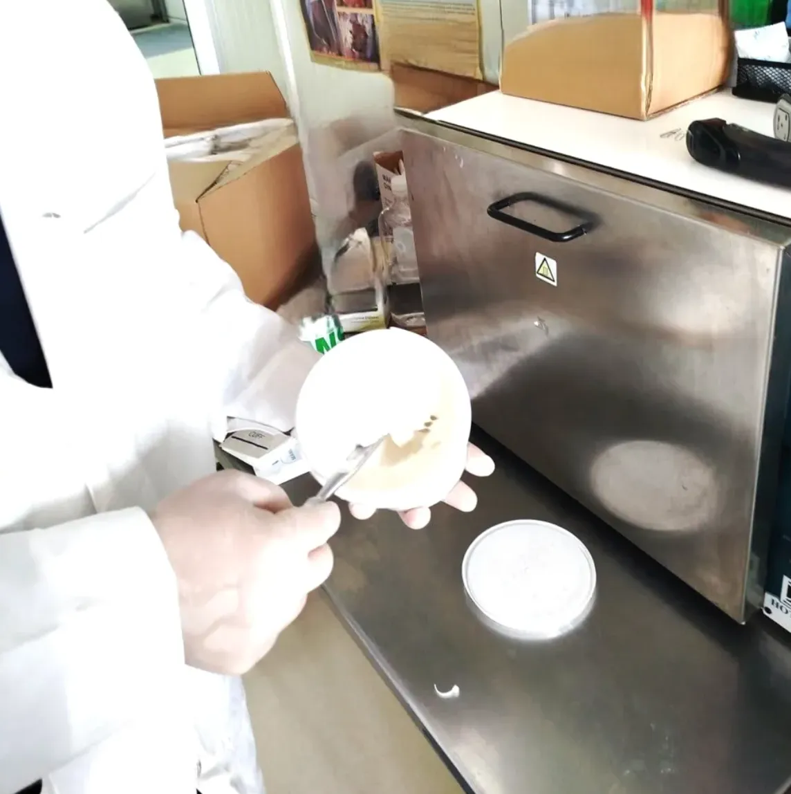 Peste 13 tone de produse alimentare neconforme, blocate la frontieră