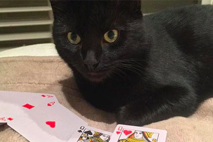 фотографии, отключение интернета