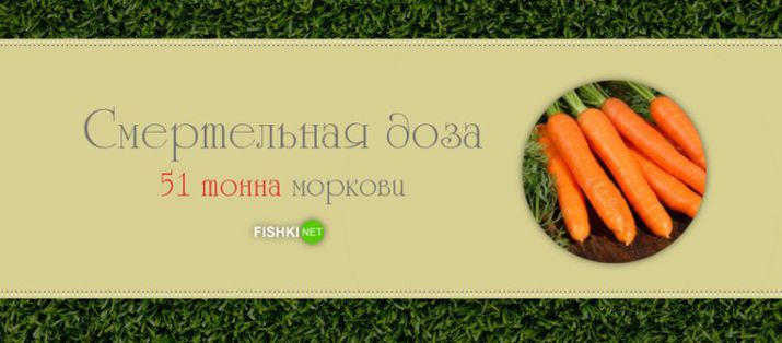 жизнь, продукты