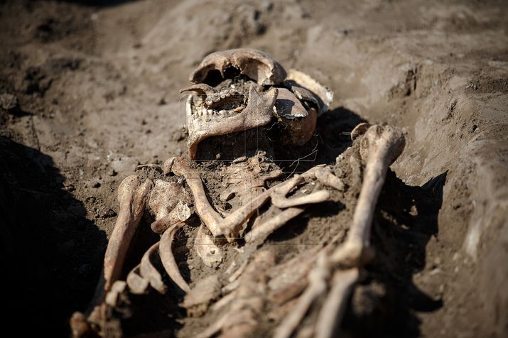 чимишлия, раскопки