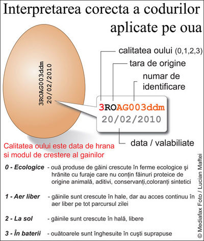 oua, data