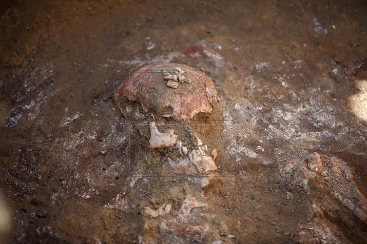 археология, раскопки