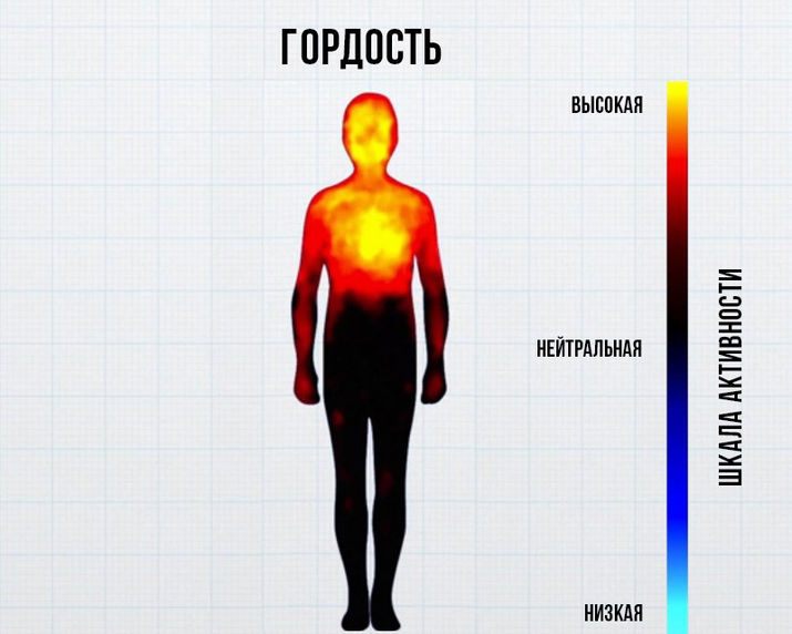 активность, ученые