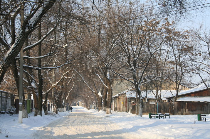 cald, chisinau