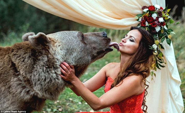 фотосессия, медведь на свадьбе