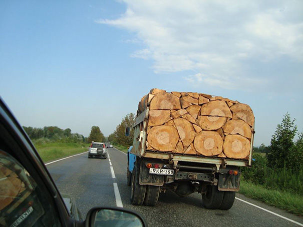 порядок, перфекционист