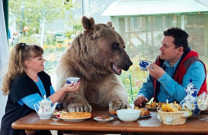 семья, медведь играет в мяч