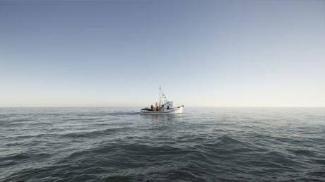 oceanul pacific, a dispărut o barcă