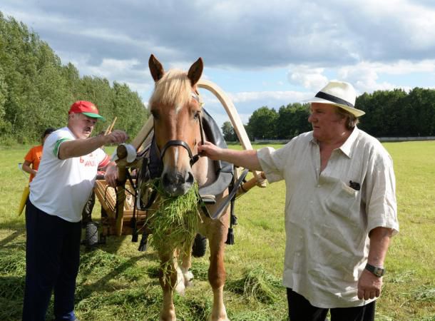 belarus, cosit