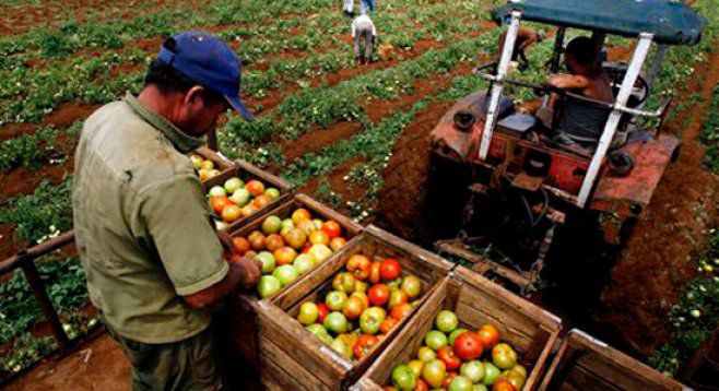 productie agricola, a crescut