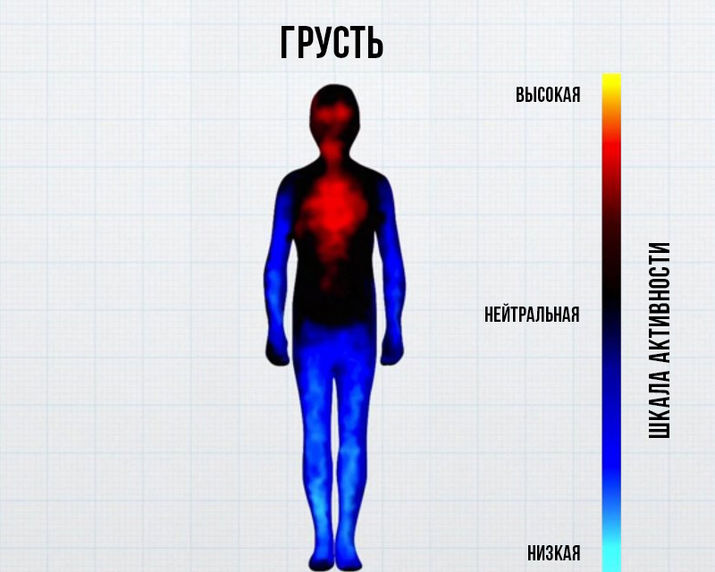 ученые, счастье