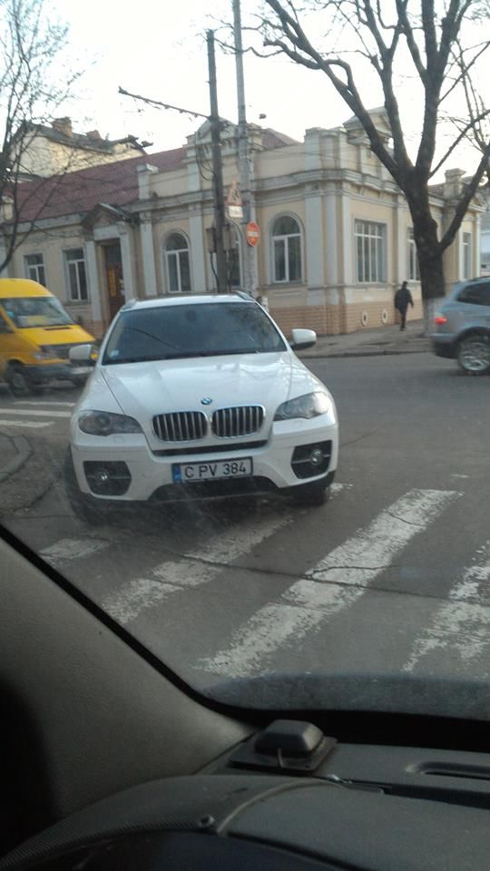 zebra, bmw