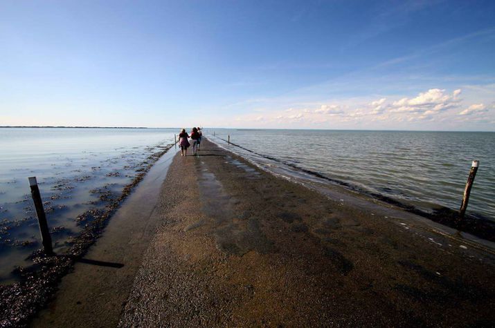 удивтельное, под водой