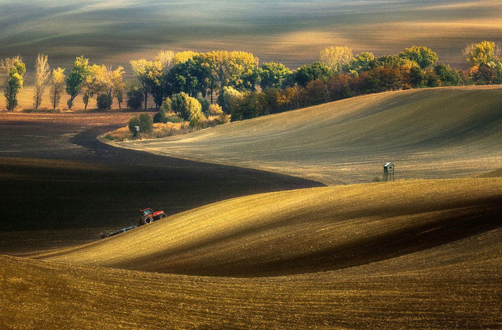 фотопроект, рабочие места