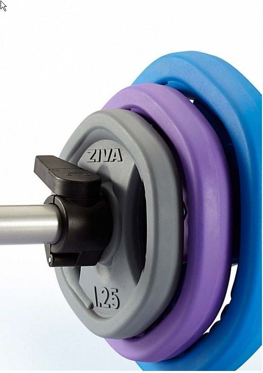 cumpără Set de discuri - ZVO Rubber HX Studio Barbell Set (ZVO-RHBS-2631) (Боди памп) în Chișinău 