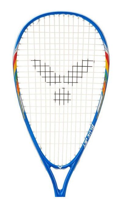 cumpără RACHETA DE SQUASH BLUE JET art. 35118 în Chișinău 