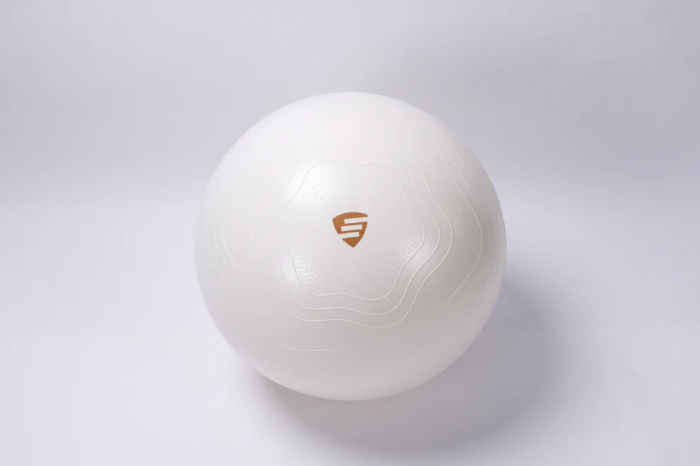 купить Мяч для фитнеса ФИТБОЛ LivePro LP9005/65 см арт. 41373 в Кишинёве 