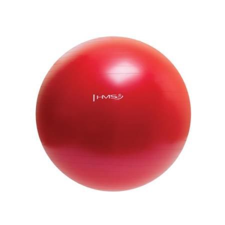 cumpără MINGE FITNESS 65cm YB01 red HMS art.27899 în Chișinău 