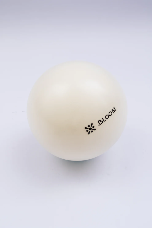 купить Мячи для пилатеса 20 см LiveUp LB7000/20/WH арт. 41490 в Кишинёве 
