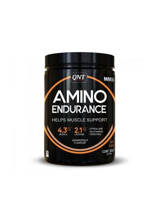 cumpără QNT Amino Endurance 350g în Chișinău 