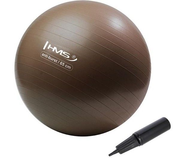 купить Фит бол YB02 65CM GYM BALL HMS (grizzly) 17-42-121 в Кишинёве 