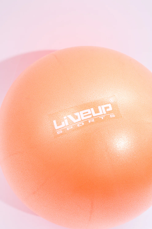 купить Фитбол LiveUp Mini Ball LS3225/25/OG арт. 41400 в Кишинёве 