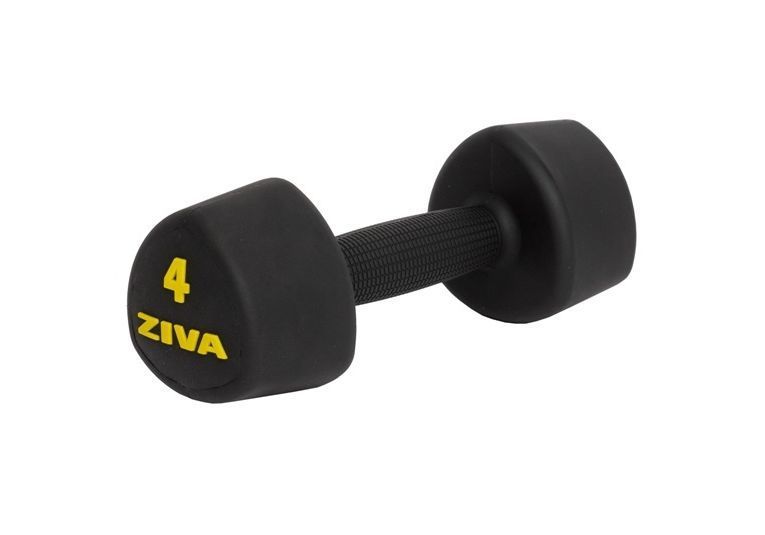 купить Гантели уритановые ZVO Urethane Tribell Studio Dumbbell 2kg в Кишинёве 