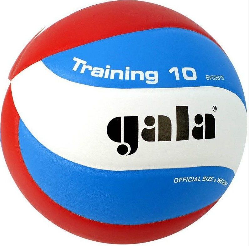 купить Мяч волейбольный №5 Gala Training в Кишинёве 