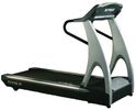 купить Беговая дорожка True Treadmills TTZ-8 Б/У в Кишинёве 