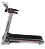 купить SPOKEY LIVIA ELECTRIC TREADMILL арт.14985 в Кишинёве 