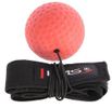 cumpără Minge p/u box PRB01  BOXING REFLEX BALL SET HMS 17-62-145 în Chișinău 