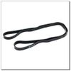 купить ТРЕНИРОВОЧНЫЙ ЖГУТ GU05 EXERCISE BAND HMS (BLACK) арт. 27886 в Кишинёве 