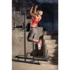 купить Силовая мультистанция Power Tower IRON GYM  art.10280 в Кишинёве 