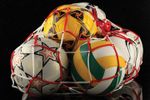 купить Сетка для переноса мячей art. 992 в Кишинёве 