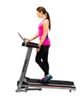 купить SPOKEY LIVIA ELECTRIC TREADMILL арт.14985 в Кишинёве 