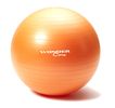 cumpără Wonder Core - Gym Ball - 65 cm - Orange WOC026 în Chișinău 
