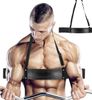 купить Biceps bomber PX-Sport в Кишинёве 