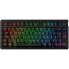 купить Игровая клавиатура HyperX 91Y91AA#ACB, Alloy Rise 75 Wireless RGB (RU) в Кишинёве 