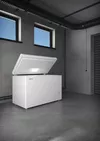 купить Морозильник Liebherr CFe 2080 Pure в Кишинёве 