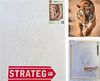 cumpără Tablou pe numere Strateg 57259 Puterea si gratia tigrului 40x50cm în Chișinău 